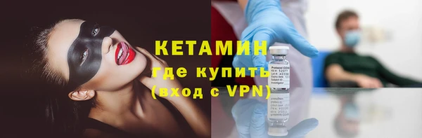крисы Козельск