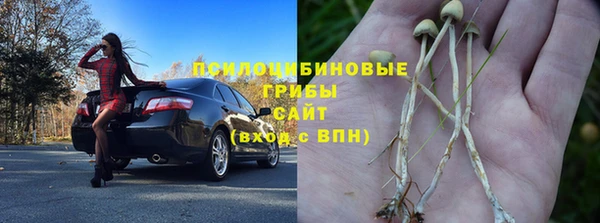 спиды Горнозаводск
