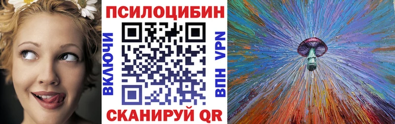 Галлюциногенные грибы Psilocybe  mega маркетплейс  Купино 